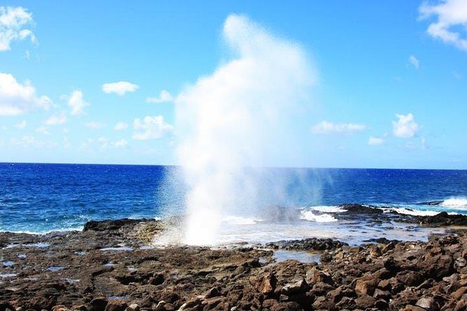Kauai Cruise Ship Shore Excursion Journey to Waimea Canyon - Price & Value