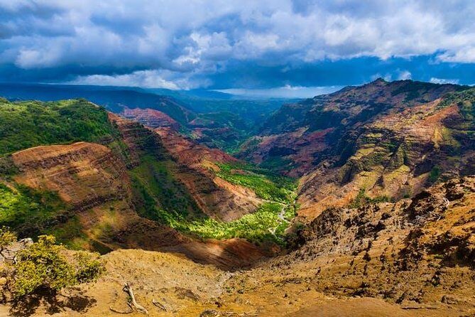 Kauai Cruise Ship Shore Excursion Journey to Waimea Canyon - Who Is This Tour Best For?