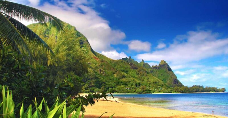 Kauai: Customized Luxury Private Tour - Exploring Kauai in Style and Comfort