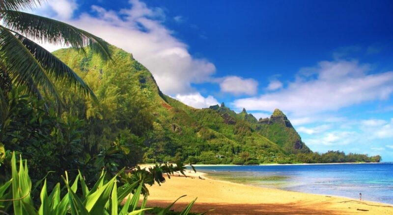 Kauai: Customized Luxury Private Tour - Practical Tips for Tour Participants