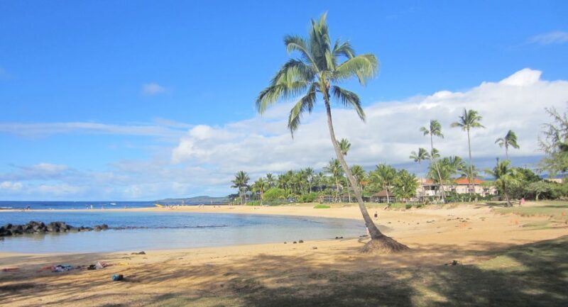 Kauai: Customized Luxury Private Tour - The Sum Up: Is It Worth It?