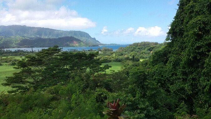 Kauai East Side and North Shore Private Guided Tour - Introduction