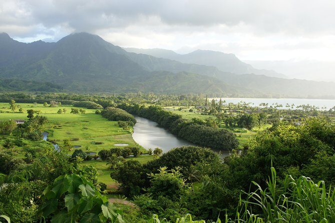 Kauai East Side and North Shore Private Guided Tour - Who This Tour is Best For