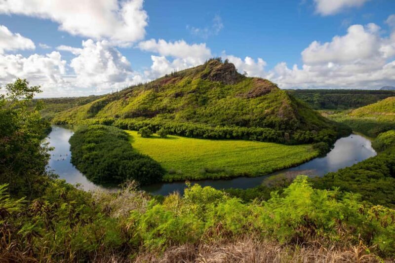 Kauai East Side and North Shore: Waterfalls & Beaches Tour - Who Will Love This Tour?
