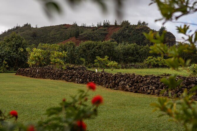 Kauai East Side SHARED Adventute - Who Is This Tour Best For?