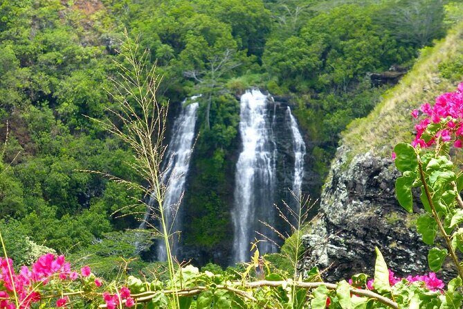 Kauai Eastside & Waterfalls-Shared Small Group Tour - Who Will Love This Tour?