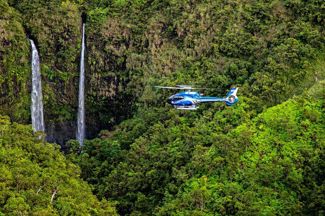 Kauai Eco Adventure Helicopter Tour - What Makes This Tour Stand Out?