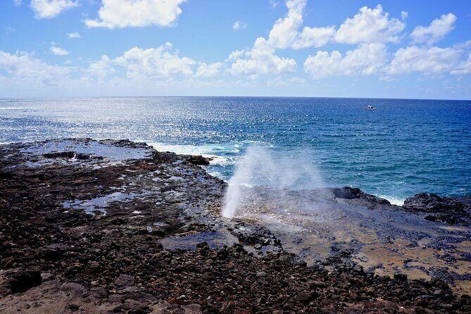 Kauai Full Day Tour with Cruise ships or Kauai Airport Pickup - Who Will Enjoy This Tour?
