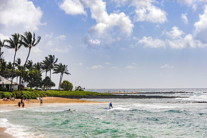 Kauai Full Day Tour with Cruise ships or Kauai Airport Pickup - FAQs
