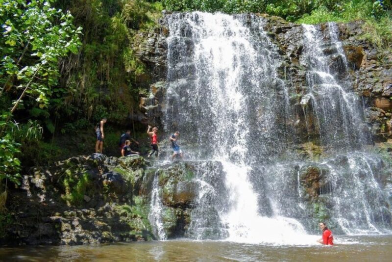 Kauai: Guided Hike and Waterfall Swim - What the Reviews Reveal