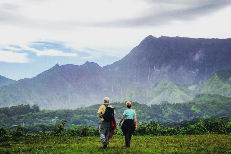 Kauai: Half-Day Kauai Adventure - Why This Tour is Worth Considering