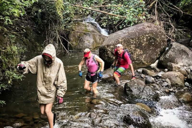 Kauai: Half-Day Kauai Adventure - Who Should Book This Tour?