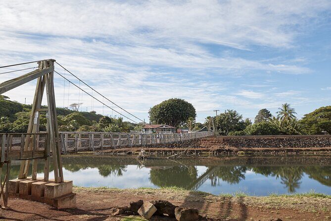 Kauai Highlights Full Day Tour with Waikiki Pickup - Who Is This Tour Best For?