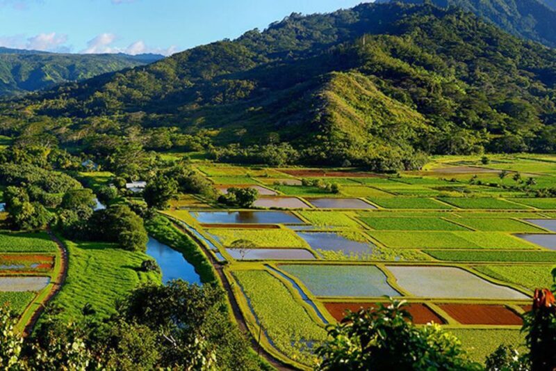 Kauai: Highlights & Movie Sites - An In-Depth Exploration of the Tour Experience