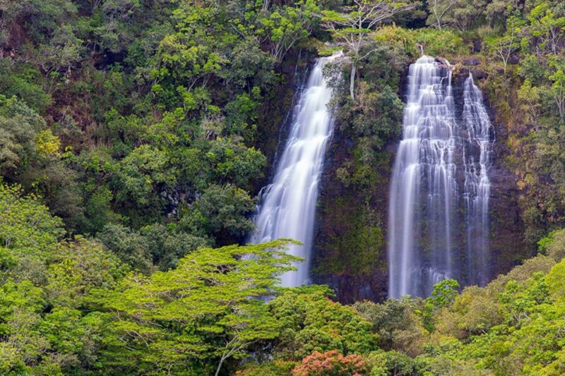 Kauai: Highlights & Movie Sites - Who Will Love This Tour?