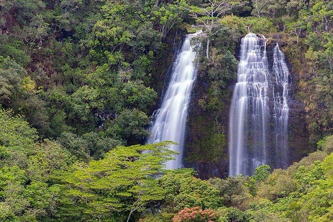Kauai Highlights & Movie Sites - Kilauea Point National Wildlife Refuge