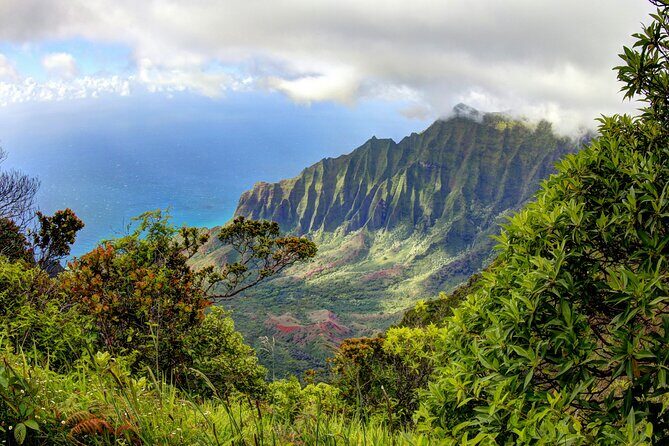 Kauai Island Private Guided Tour-Waimea Canyon from Lihue/Kapaa - The Value of a Private Guided Tour