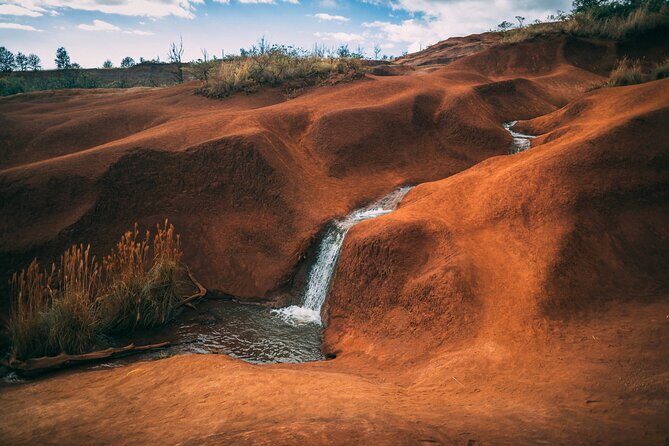 Kauai Island Private Guided Tour-Waimea Canyon from Poipu/Koloa - Key Points