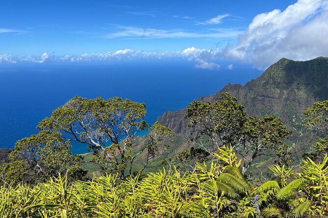 Kauai Island Private Guided Tour-Waimea Canyon from Poipu/Koloa - FAQ