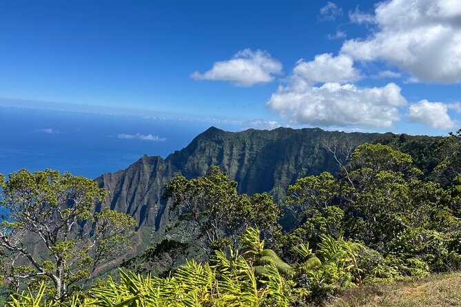Kauai Island Private Guided Tour-Waimea Canyon from Princeville - Exploring Hanapepe: The Artsy Town