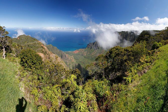 Kauai Island - Private Tour : Waimea Canyon and Southside - The Details of the Kauai Private Tour: Waimea Canyon and Southside