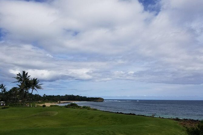 Kauai Island - Private Tour : Waimea Canyon and Southside - Who Should Book This Tour?