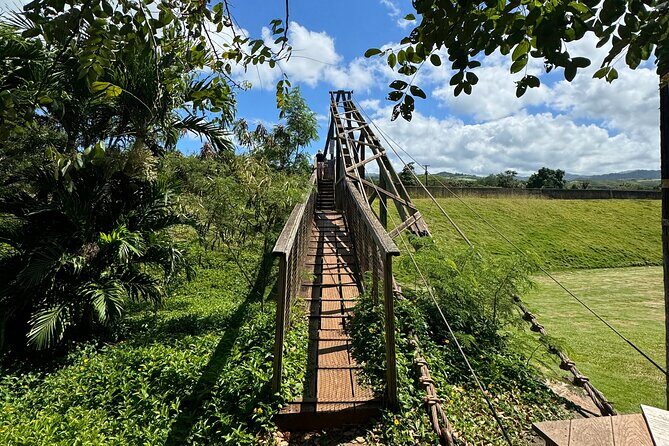 Kauai Island Tour : Journey to Waimea Canyon & More Highlights - How Everything Comes Together