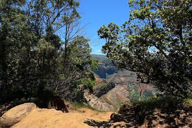Kauai Island Tour : Journey to Waimea Canyon & More Highlights - Who Will Love This Tour?