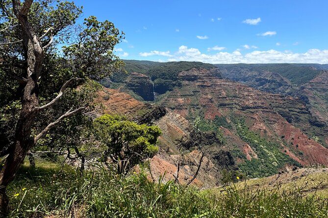 Kauai Island Tour : Journey to Waimea Canyon & More Highlights - The Sum Up