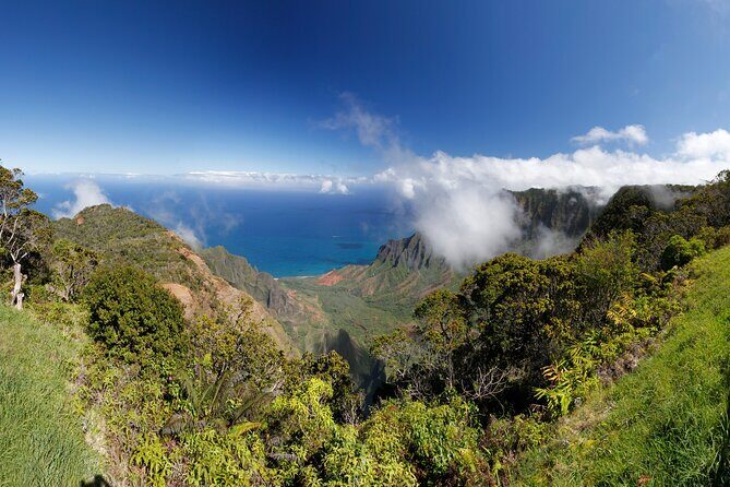 Kauai Island Tour : Journey to Waimea Canyon & More Highlights - FAQ