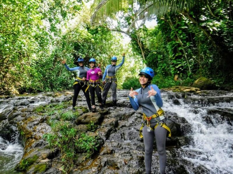 Kauai: Island Waterfall Adventure - The Experience’s Highlights and Unique Features