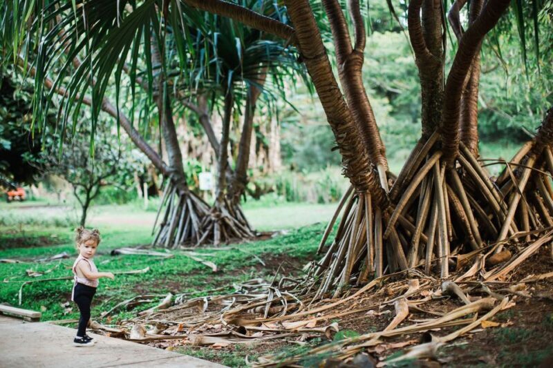 Kauai: McBryde Garden Self Guided Visit - FAQ