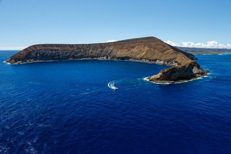 Kauai: Niihau and Na Pali Coast Full-Day Boat Tour - The Sum Up
