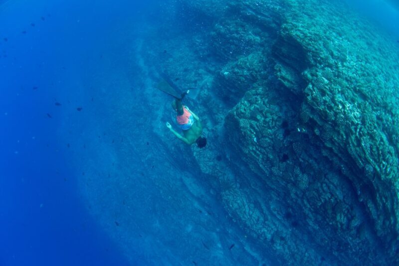 Kauai: Niihau and Na Pali Coast Full-Day Boat Tour - FAQ