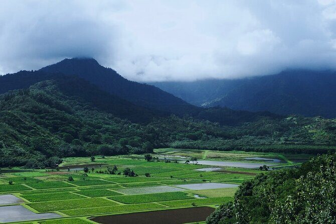 Kauai North Shore Private Guided Tour with Hotel or Port Pick-up - Final Thoughts