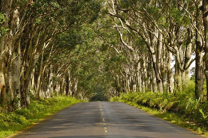 Kauai Poipu and Koloa Town Self-Guided Audio Tour - Final Thoughts