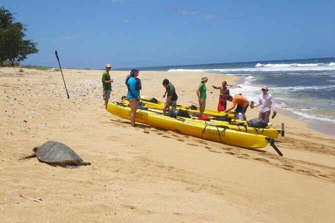 Kauai Sea Kayaking 10 mile tour - Na Pali Iki (Polihale to Milolii) - The Itinerary in Detail