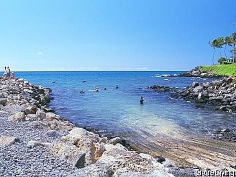 Kauai: Shore Diving at Koloa Landing, Poipu - Who Should Consider This Tour?