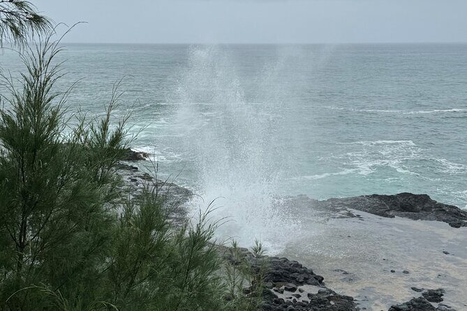 Kauai Shore Excursion - Waimea Canyon Adventure Tour - Nawiliwili - Frequently Asked Questions