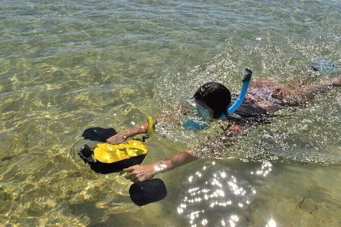Kauai Snorkeling Adventure - What to Expect from the Kauai Snorkeling Adventure