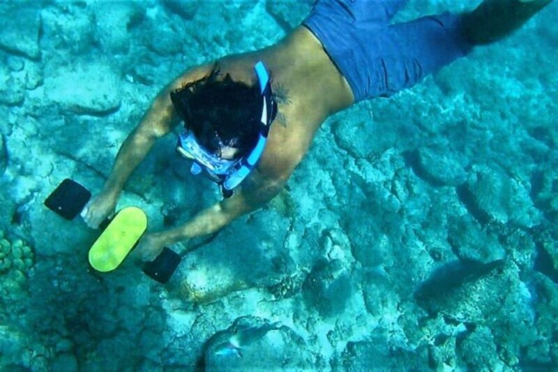 Kauai: Snorkeling Adventure with Sea Scooter - Key Points