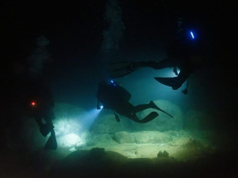 Kauai: Twilight/Night Shore Dive Experience - Key Points