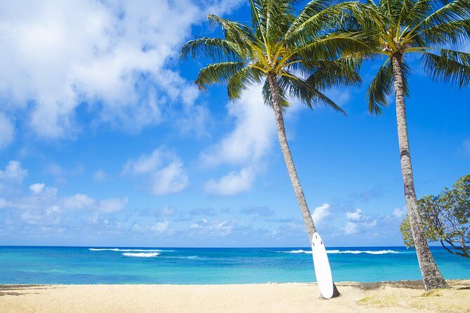 Kauai Wailua Valley & Waterfalls Audio Driving Tour - Who Should Consider This Tour?