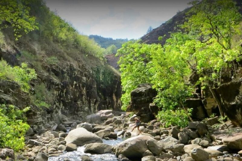 Kauai: Waimea Canyon & Kokee State Park Private Tour - Who Should Consider This Tour?