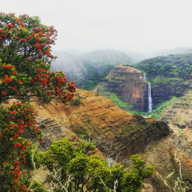 Kauai: Waimea Canyon & Kokee State Park Private Tour - The Sum Up
