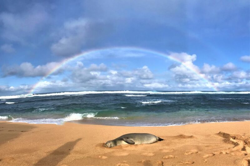 Kauai: Waimea Canyon & Kokee State Park Private Tour - FAQ