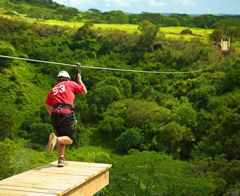 Kauai: Zipline Adventure - An In-Depth Look at Kauais Zipline Adventure