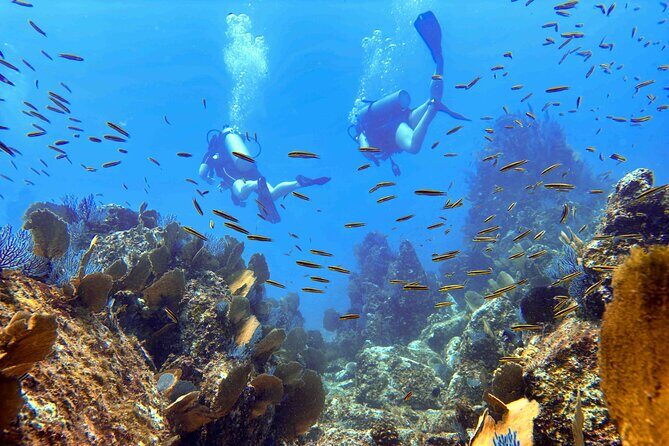 Kauai's Exclusive Morning Scuba Charter for Experienced Divers - Who Is This Tour For?