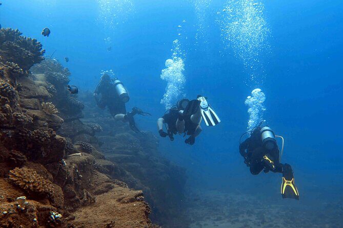 Kauai's Exclusive Morning Scuba Charter for Experienced Divers - Practical Tips for Booking and Enjoying