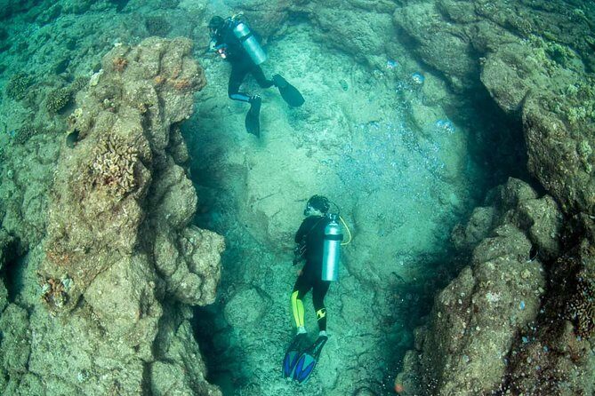 Kauai's Ultimate Boat 2 Tank Adventure Dive Certified Divers Only - The Sum Up: Is It Worth It?